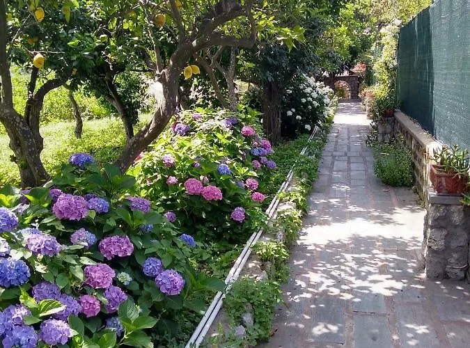 Prázdninový dům Depandance Casa Paolina Capri