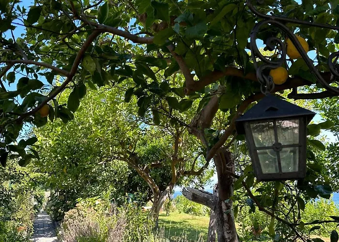 Depandance Casa Paolina * 카프리