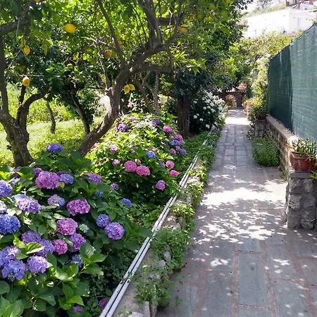 Holiday home Depandance Casa Paolina Capri