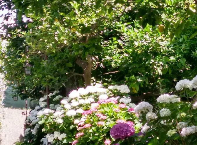 Depandance Casa Paolina بيت للعطل